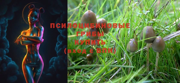 амф Вуктыл