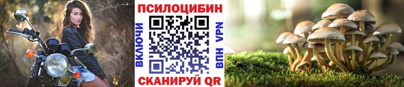 KRAKEN ТОР  где продают   Светлый  Галлюциногенные грибы мицелий 